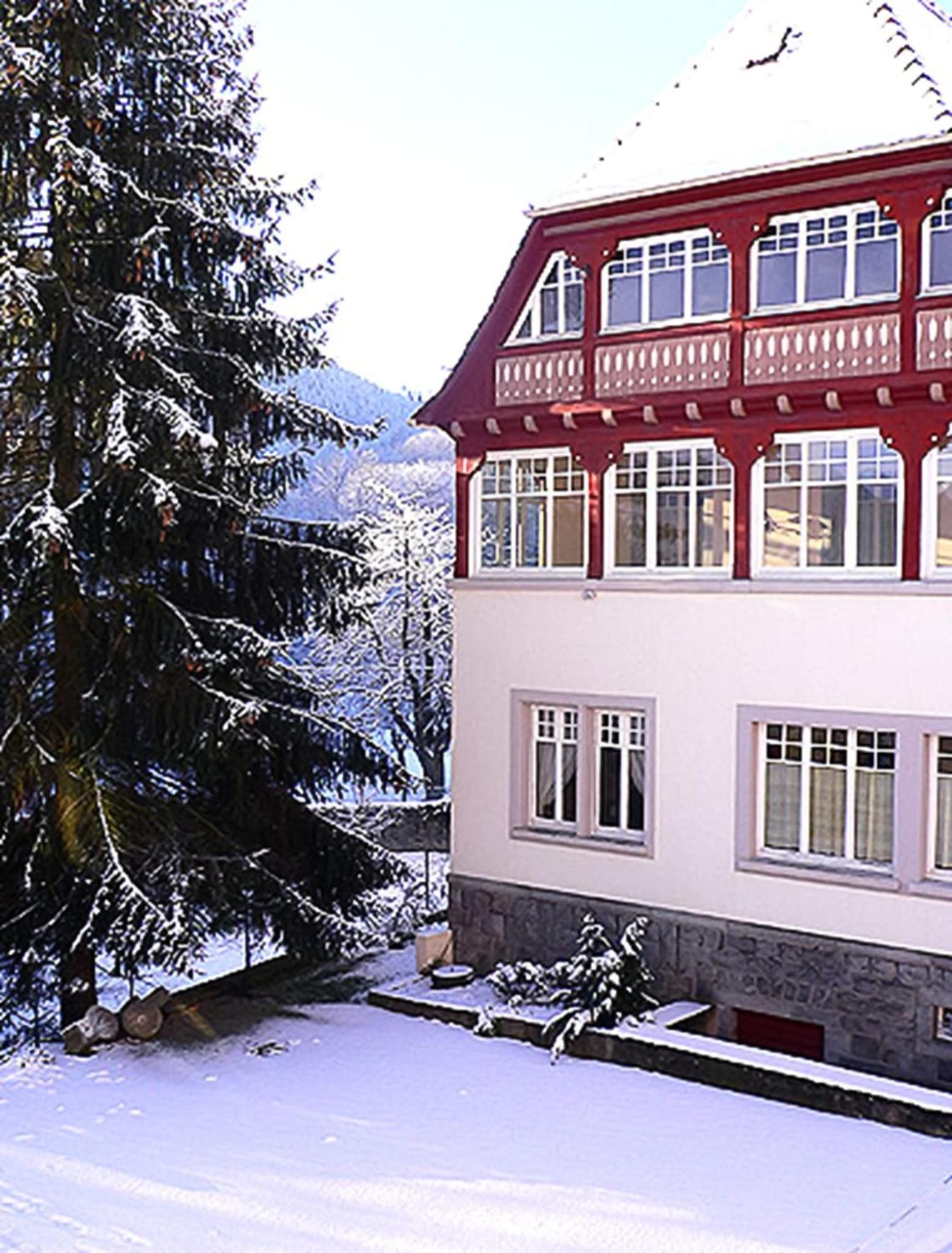 Villa Du Sendenbach Мюльбах-сюр-Мюнстер Экстерьер фото